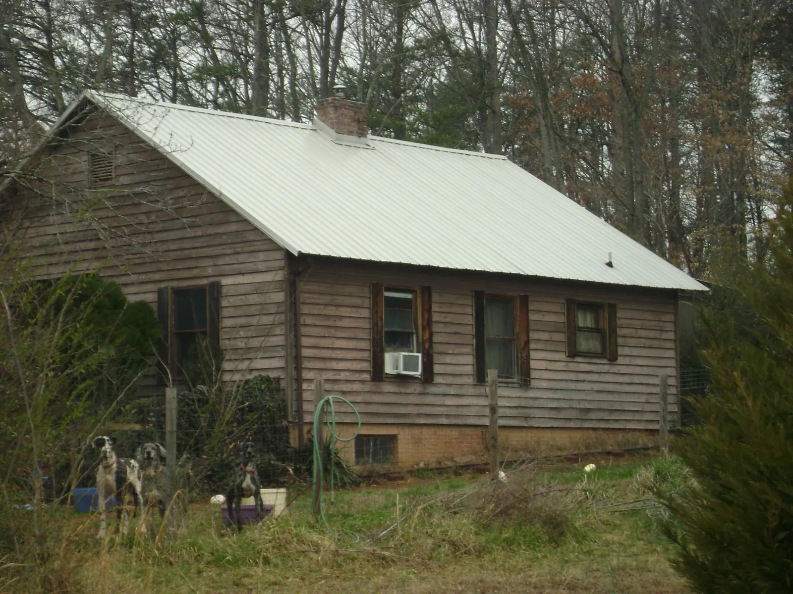 White metal roof on an old wood sided farmhouse, from a Asphalt Shingle Roof Repair job in Leoma
